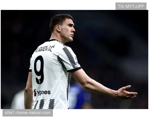 塞尔维亚高中锋战术是否延续，弗拉霍维奇搭档选择成关键